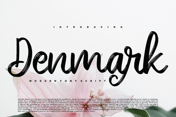Denmark - Modern Brush Font Script preview 7