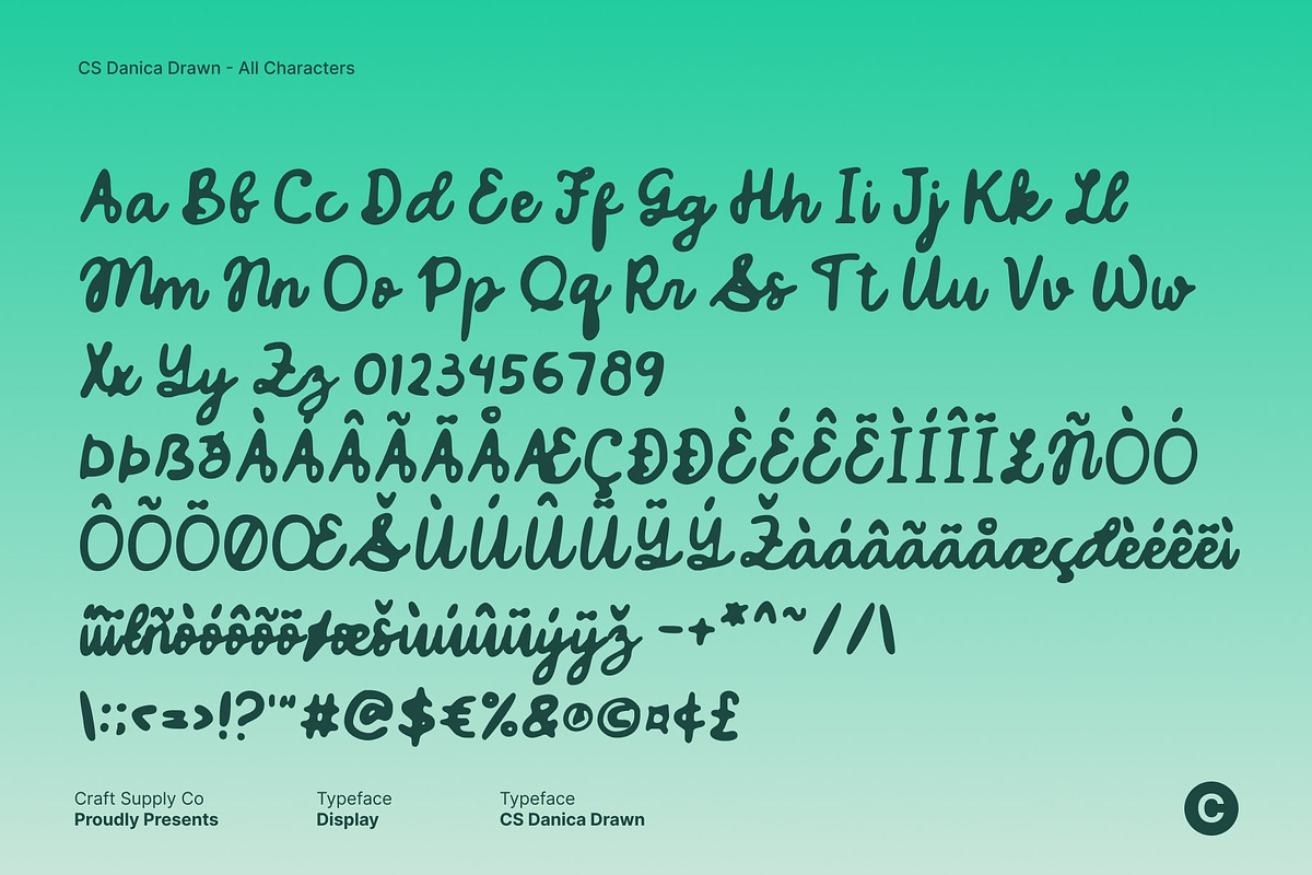 CS Danica Drawn, a Script Font by Craft Supply Co. (Photo 8 of 8)