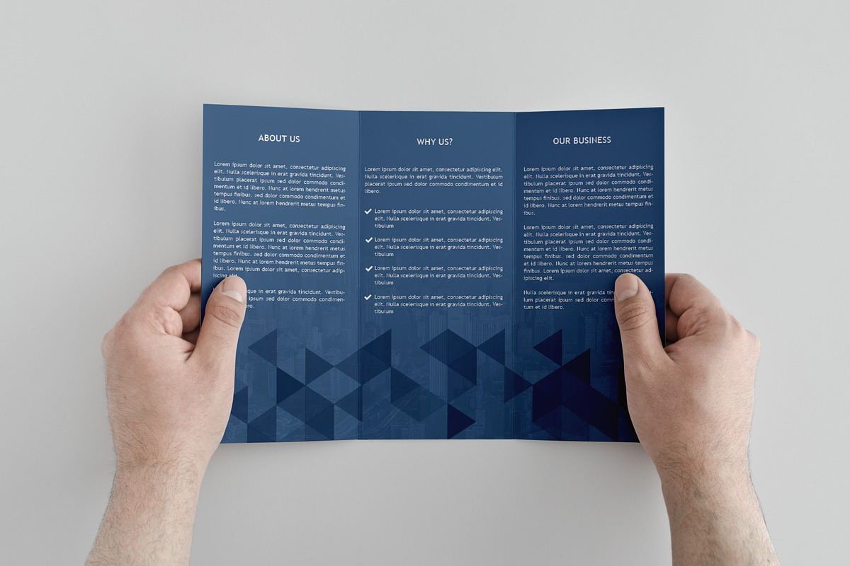 Business Trifold Brochure, a Brochure Template by assaiv (Photo 3 of 5)