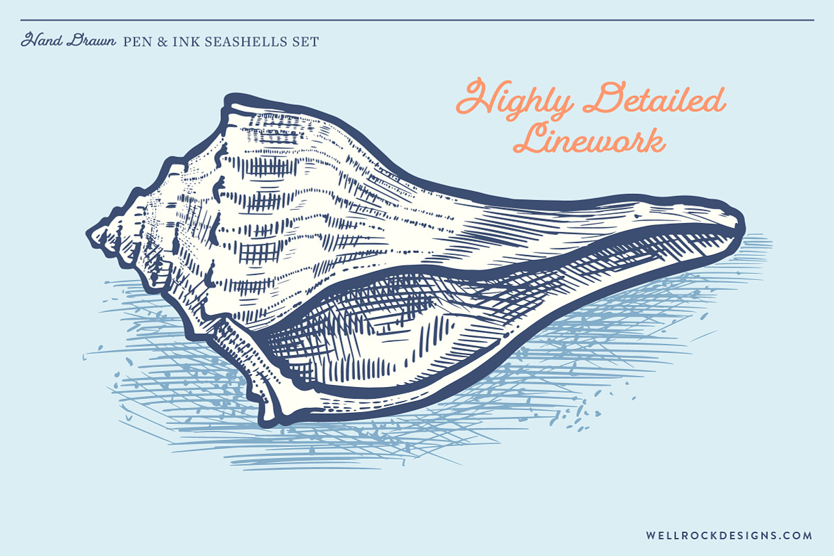 Sea Shells(Vector) + Beach Bonus, an Object Illustration by Well Rock Designs (Photo 3 of 9)