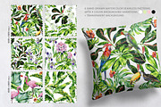 Rainforest illustrations, an Illustration by Anna Myslivets Art (Thumbnail 4 of 7)
