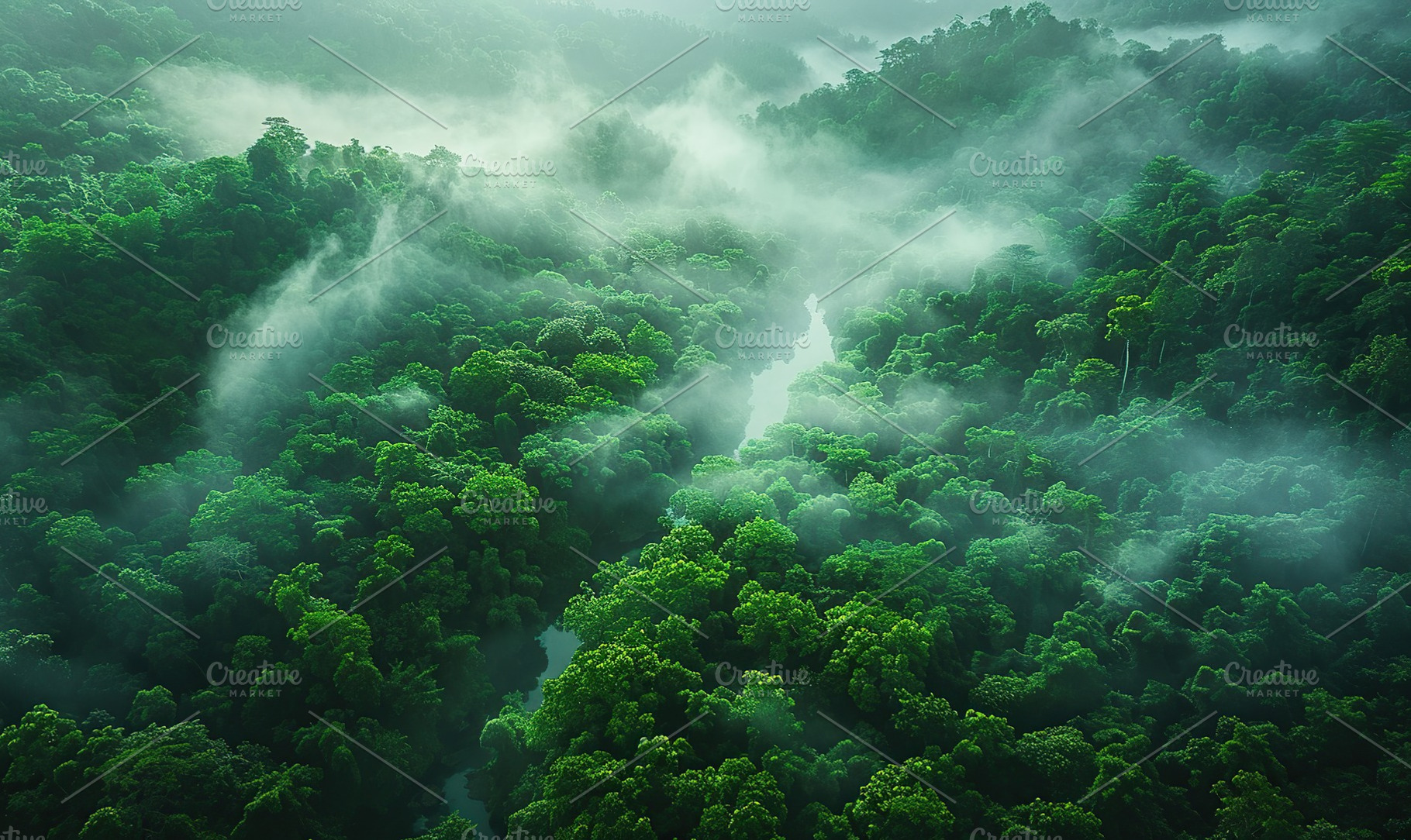 Green jungle with white fog, a Nature Photo by AlyaAnd