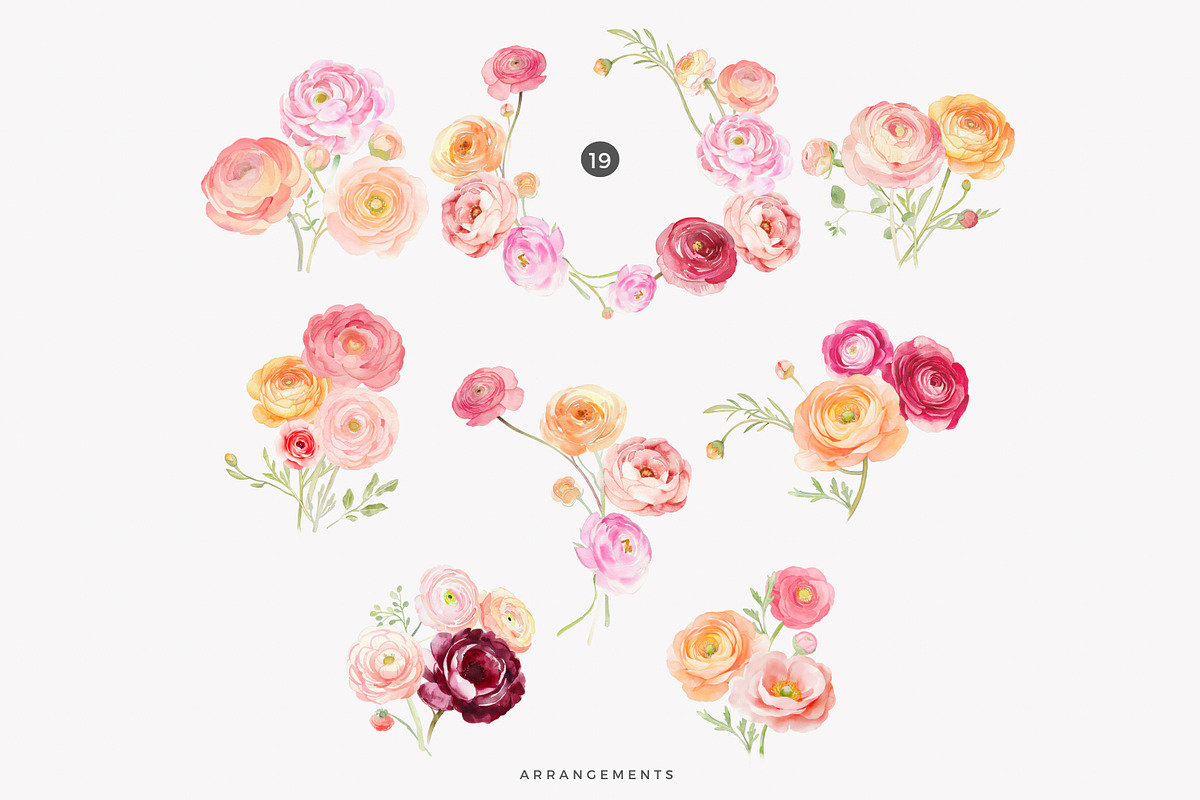 watercolor ranunculus clipart set, a Decorative Illustration by Patishop Art (Photo 8 of 10)
