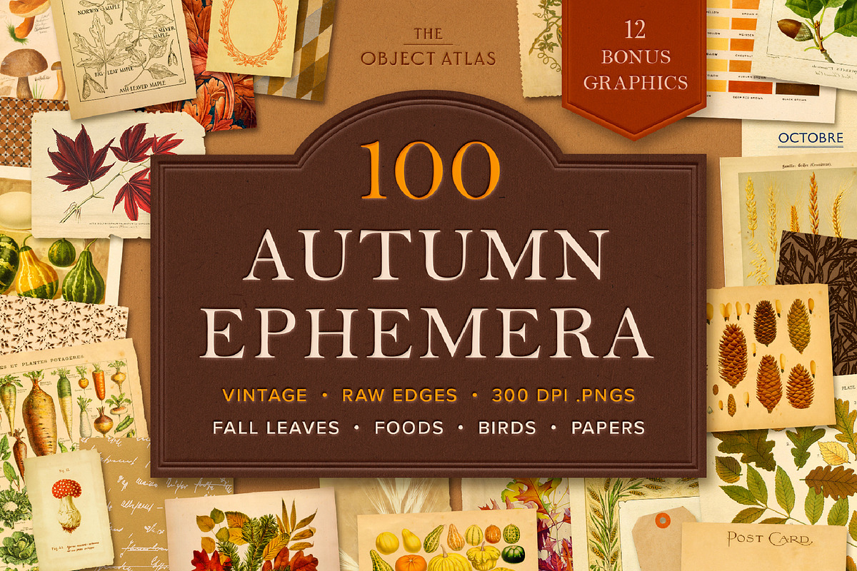 100 Vintage Autumn Ephemera, an Object Graphic by The Object Atlas (Photo 1 of 10)