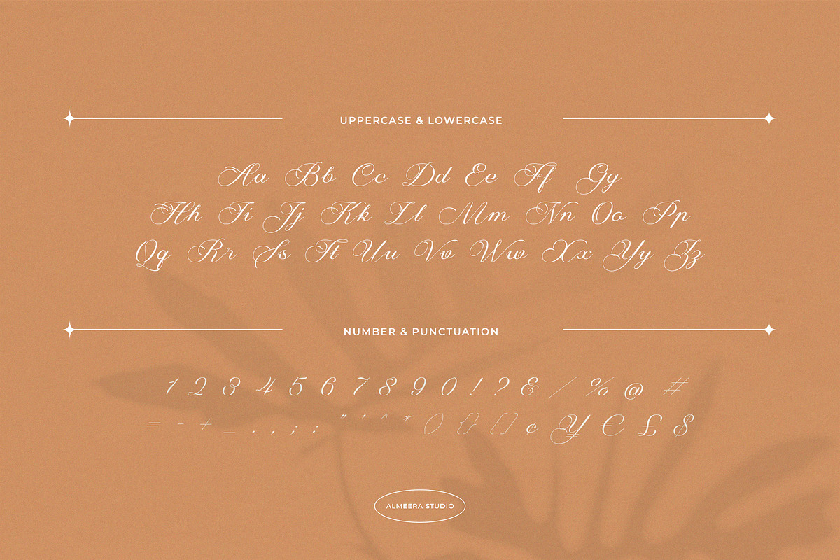 Fantasia – Elegant Script, a Script Font by Almeera Std (Photo 6 of 10)