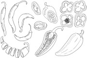 Chilli Papper, a Food Illustration by Elena Mykhailenko (Thumbnail 2 of 4)