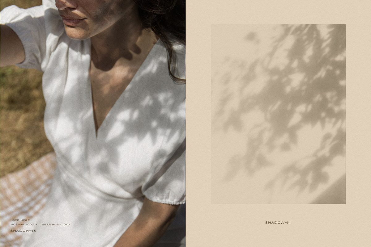 Dappled - Botanical Shadow Overlays, a Texture Graphic by alonahaidash (Photo 5 of 16)