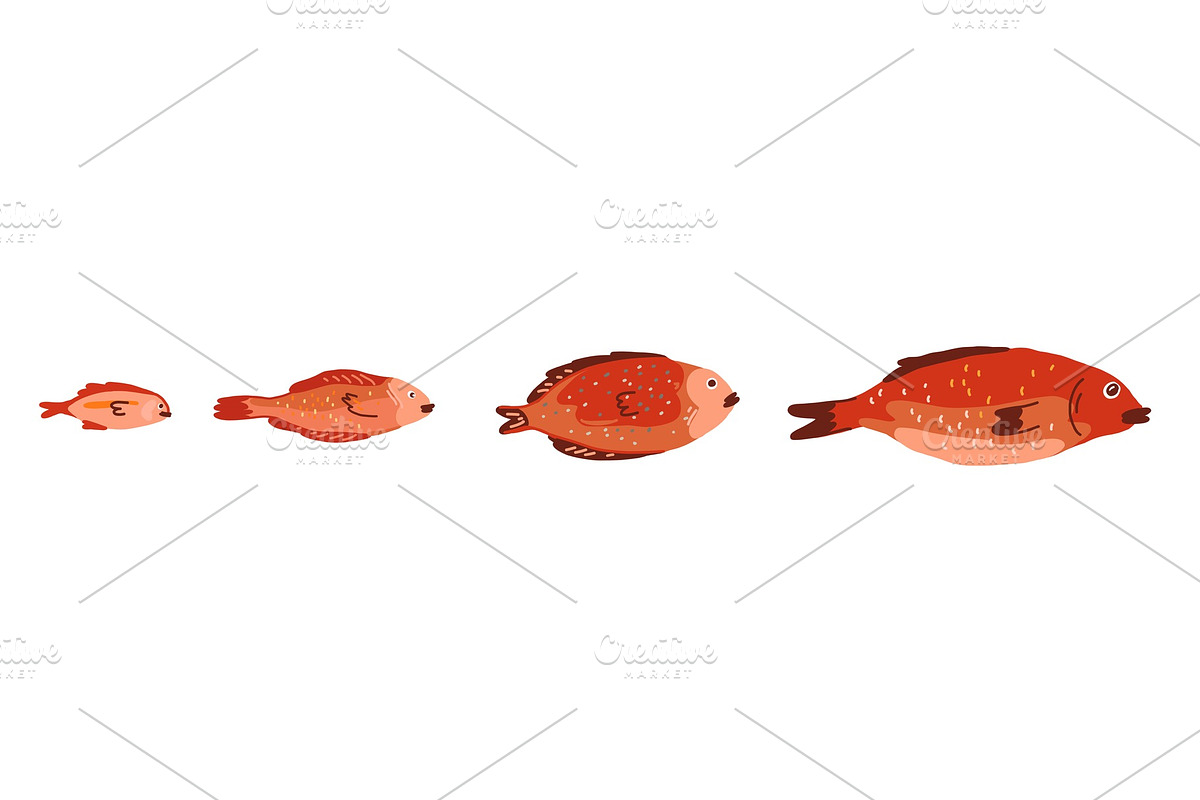 Red fish of different sizes set, an Animal Illustration by Ilia Design