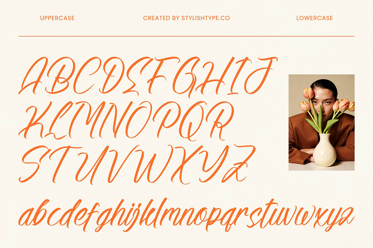 Alesteny Pojharu Handwritten Ink, a Script Font by stylishtype.co (Photo 5 of 20)