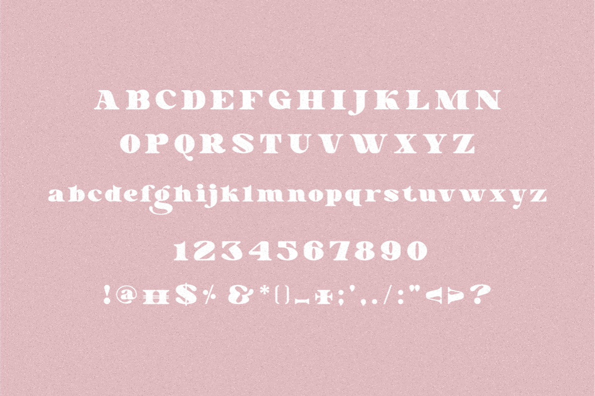 Perfectly Romantic, a Serif Font by Typegoals Studio (Photo 7 of 8)