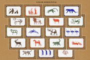 Colonial style Animals posters, an Animal Illustration by Garden in frame (Thumbnail 9 of 11)