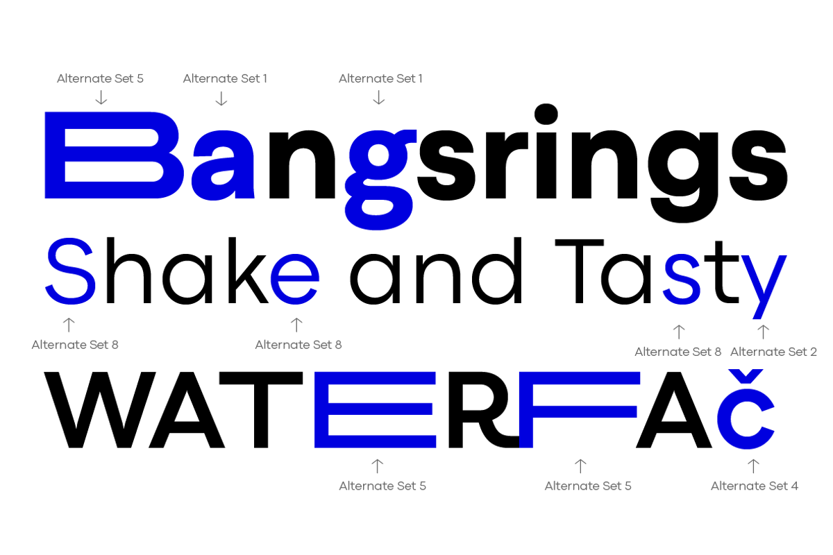 Codec Pro 22 fonts + 1 variable, a Sans Serif Font by Zetafonts (Photo 9 of 16)
