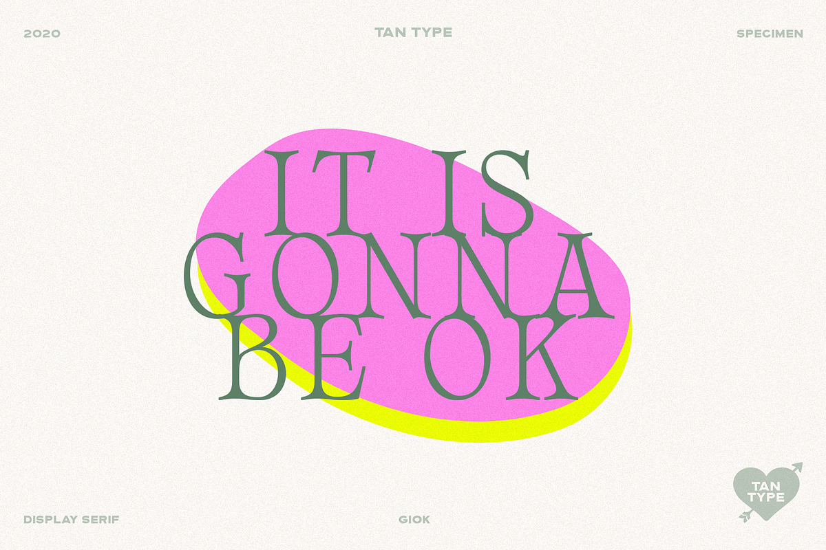 TAN - GIOK, a Serif Font by TanType (Photo 24 of 25)