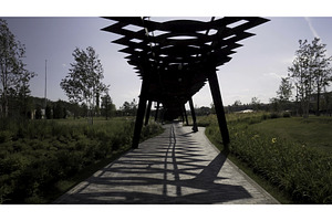 Walking Under The Unusual Wooden