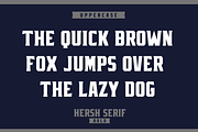 HERSH SERIF FONT FAMILY, a Serif Font by Alphabet Agency (Thumbnail 8 of 14)