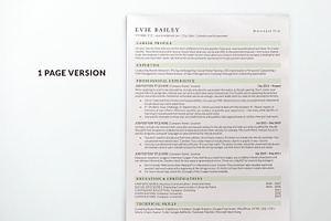 Simple Resume Template Green Color