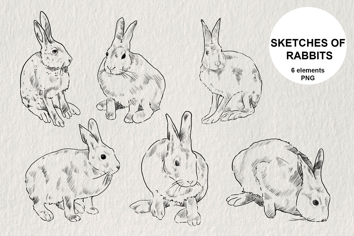 Pencil sketches of rabbit PNG, an Animal Illustration by LOKSKIH (Photo 1 of 5)