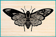 50 Butterfly Silhouette Vector, an Illustration by Gaye Art (Thumbnail 3 of 4)