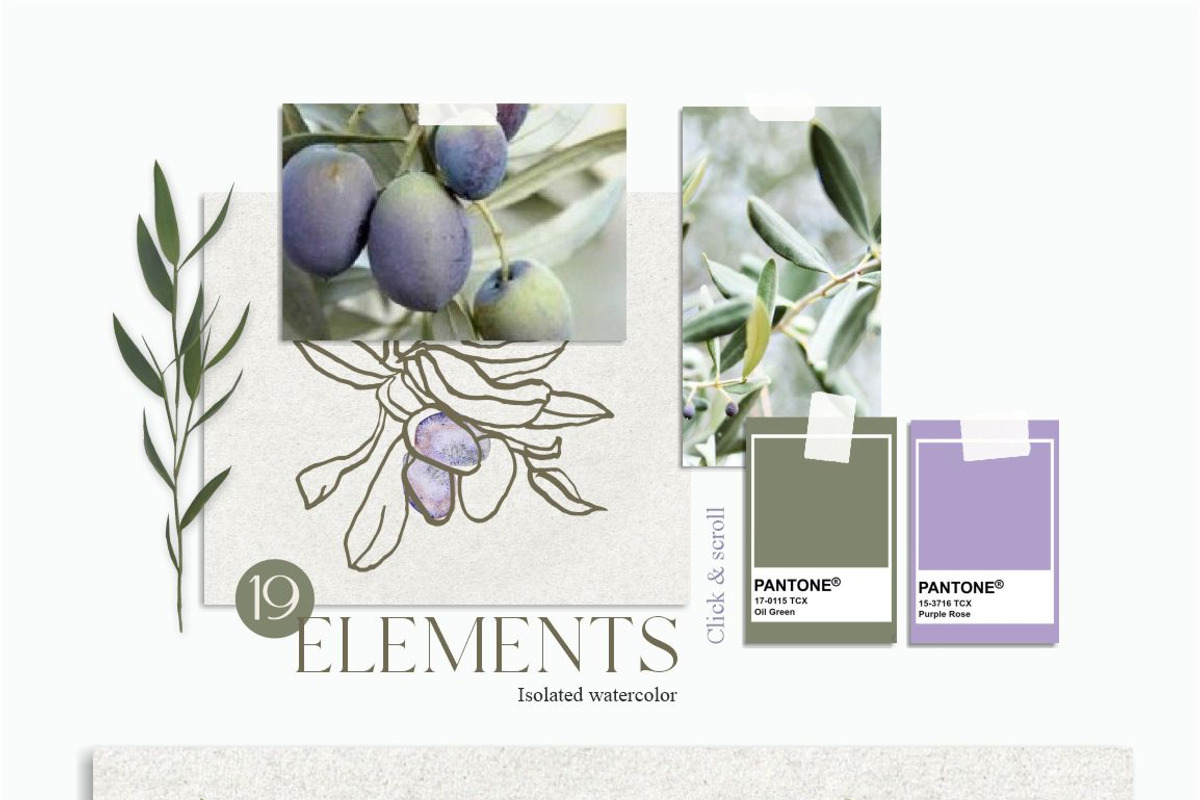 OLIVE - watercolor set, an Object Graphic by Collection by VY (Photo 3 of 14)