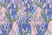 Irises, a Graphic by TextilePattern (Thumbnail 1 of 7)