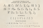 Amellia Carlotte, a Handwritten Font by FreshTypeINK (Thumbnail 8 of 8)