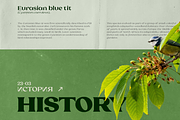 Laviossa Nova - Completed Family, a Serif Font by Jehoo Creative (Thumbnail 10 of 12)