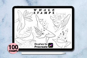 100 procreate whale stamps, a Brush Add-On by Arts For Peace (Thumbnail 4 of 9)
