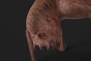 Mother of Monsters, a Characters & Person 3D Model by NojskaAksjon (Thumbnail 14 of 31)