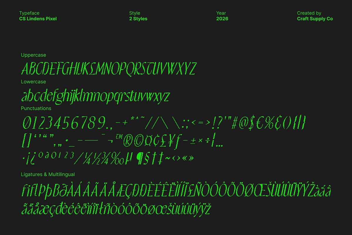 CS Lindens Pixel, a Sans Serif Font by Craft Supply Co. (Photo 8 of 8)
