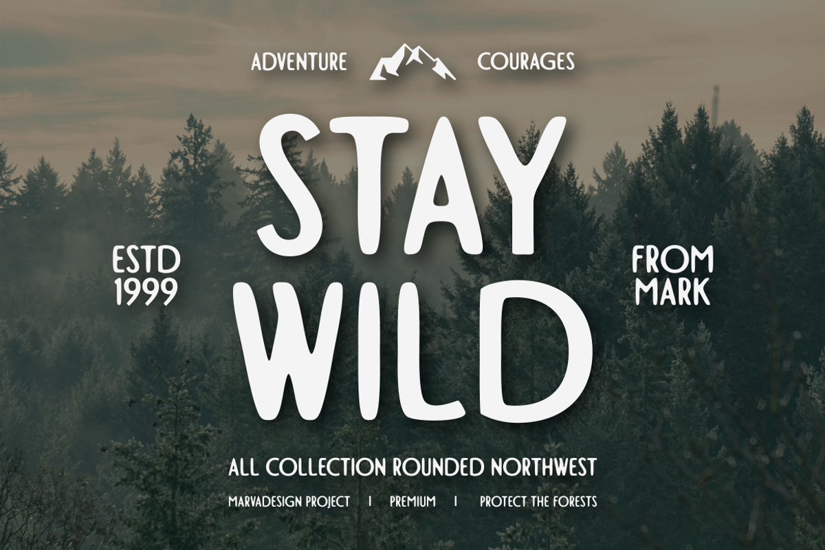 Charvine - A Modern Display Font, a Handwritten Font by Marvadesign (Photo 2 of 5)