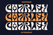 Charley Unique Display Font, a Serif Font by Storytype Studio (Thumbnail 1 of 14)