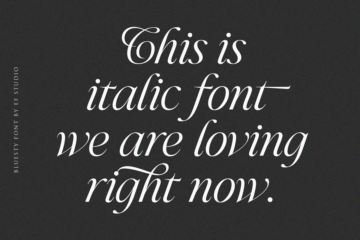 Bluesty | Classy Italic, a Script Font by Ef Studio (Photo 8 of 15)