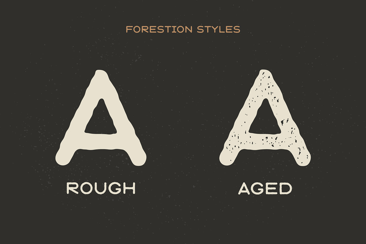 SALE : Forestion Font, a Sans Serif Font by FlashGraphics (Photo 2 of 7)