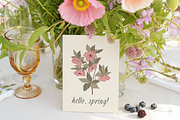 Spring Floral Vector Illustrations, a Decorative Illustration by Emma Webb Studio (Thumbnail 8 of 9)