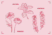 HERBAL TEA (30+ ILLUSTRATIONS), a Food Illustration by Bonfloret Studio (Thumbnail 3 of 10)
