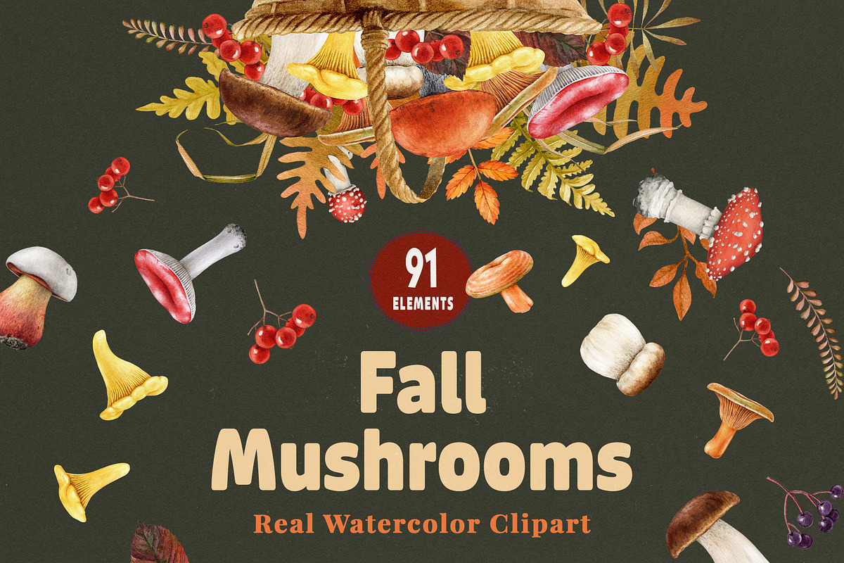 Fall Mushrooms Watercolor Clipart, a Seasonal Illustration by AnitaPol (Photo 1 of 20)