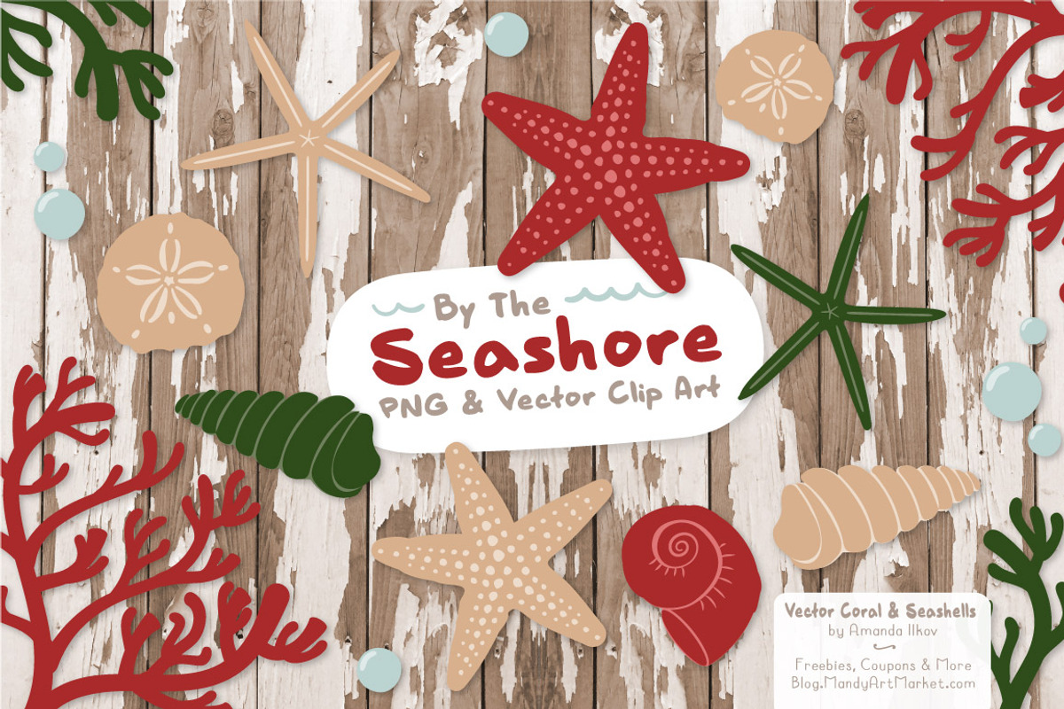 Christmas Vector Seashells, an Illustration by Amanda Ilkov (Photo 2 of 5)