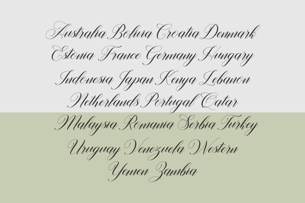 Willgets, a Script Font by Soft Creative (Photo 7 of 8)