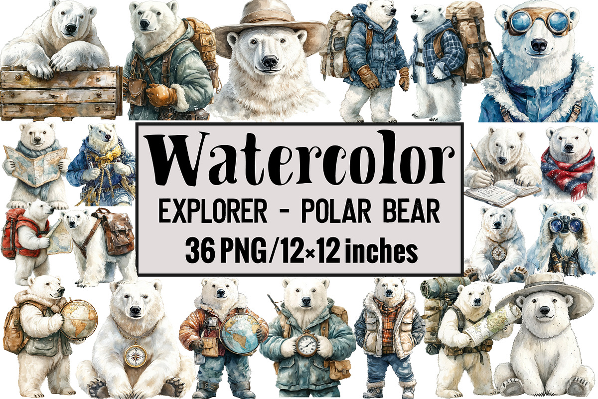 Explorer - Polar Bear, an Illustration by Design Market (Photo 1 of 3)