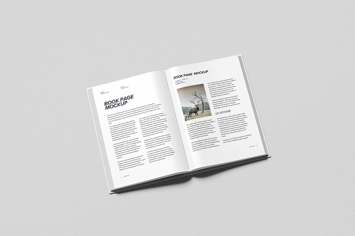 Book Page Mockup, a Books & Magazine Mockup by AnasStudio (Photo 3 of 4)
