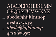 Quietism Variable font, a Serif Font by Michael Rafailyk (Thumbnail 7 of 9)
