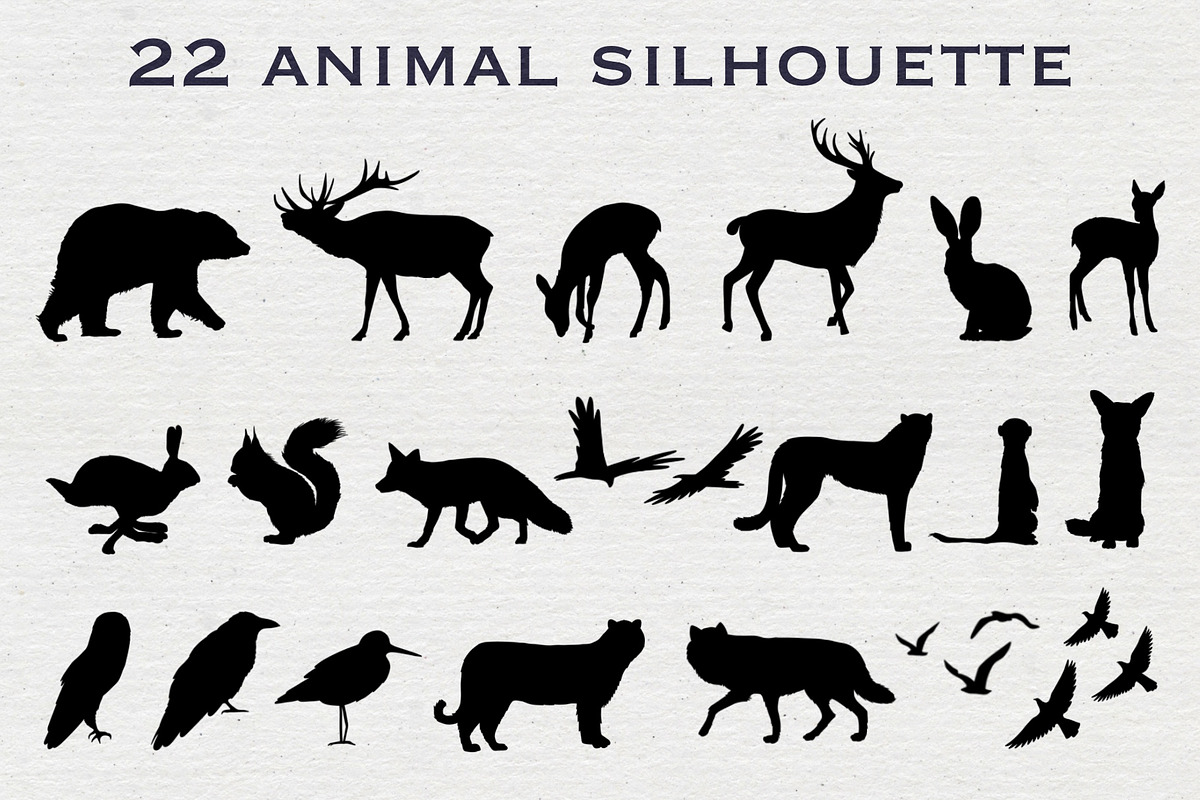 Landscape Creator, an Animal Illustration by Alina Sh (Photo 4 of 12)