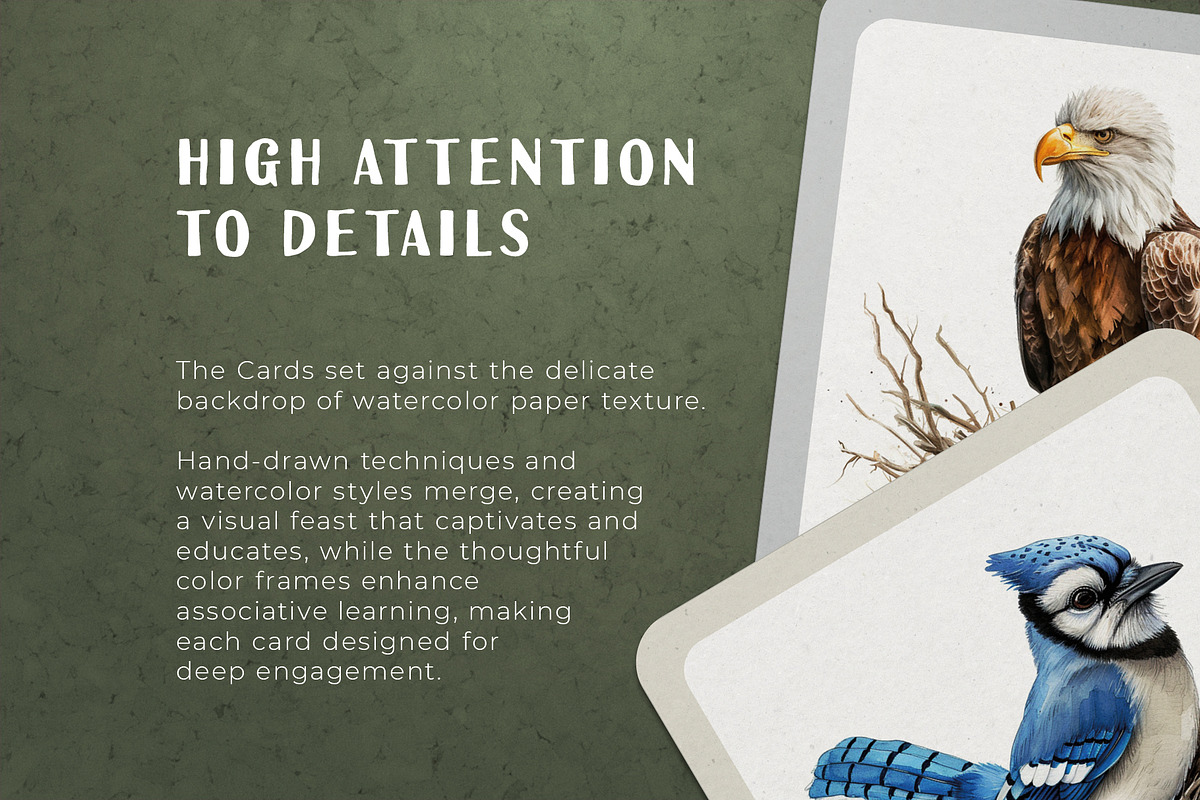 Birds and Their Nests Flash Cards, an Education Illustration by Pix Cafe (Photo 3 of 10)