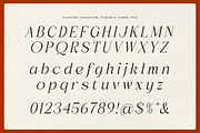 Clumsy Blink - Retro Serif Font, a Serif Font by Shakira Studio (Thumbnail 9 of 10)