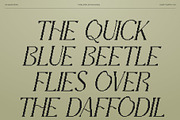 CS Giova Pixel, a Serif Font by Craft Supply Co. (Thumbnail 6 of 8)