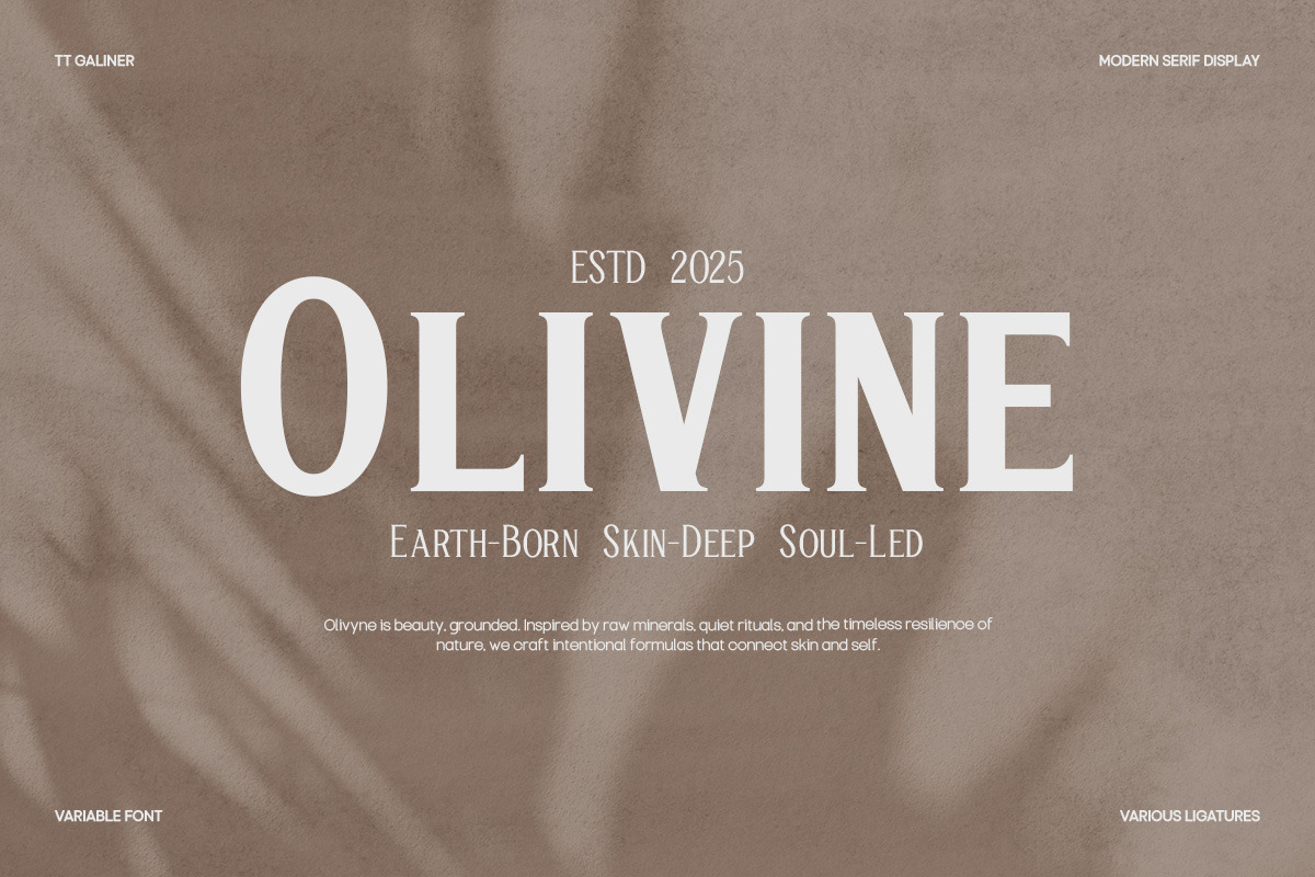 TT Galiner – Timeless Elegance Serif, a Serif Font by truetype (Photo 5 of 15)