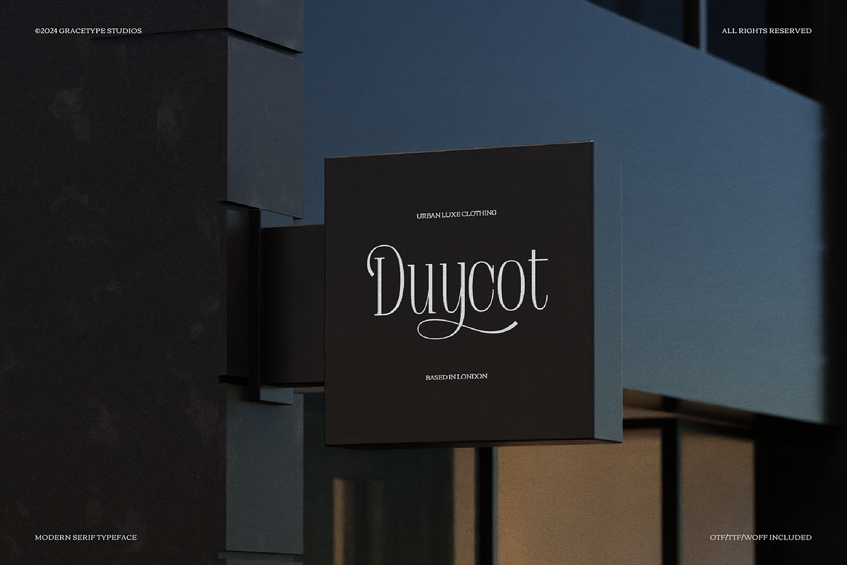 Apex Royale | Modern Serif, a Serif Font by gracetype_studio (Photo 3 of 12)