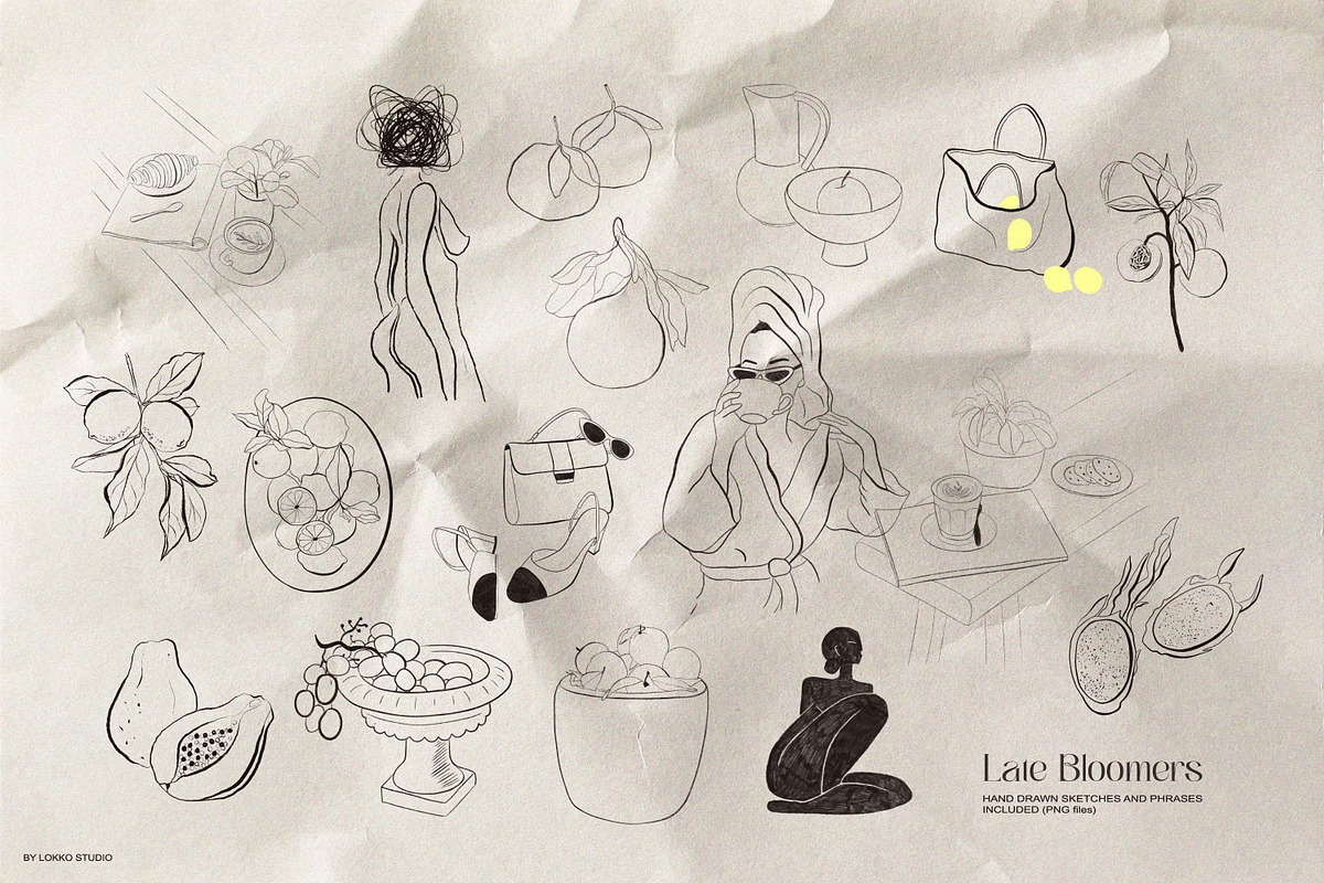 Late Bloomers Posters collection, a Decorative Illustration by lokko studio (Photo 8 of 10)