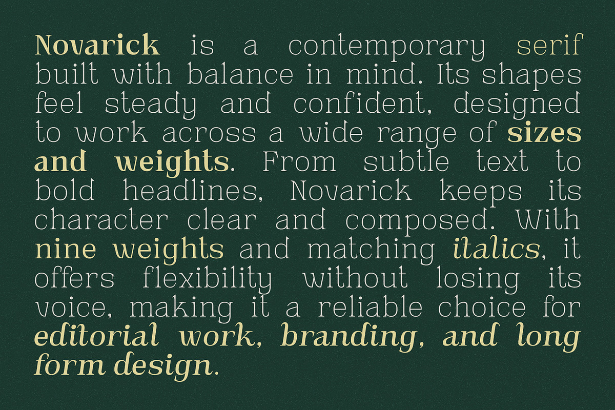 Novarick, a Serif Font by din-studio.com (Photo 2 of 16)