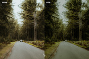 Cinematic Greens Lightroom Presets, a Preset Add-On by CVR Presets (Thumbnail 2 of 6)